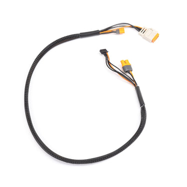 Spektrum SPMX1012 2-6S IC5 60cm Charge Lead with In-Built Balance Plug